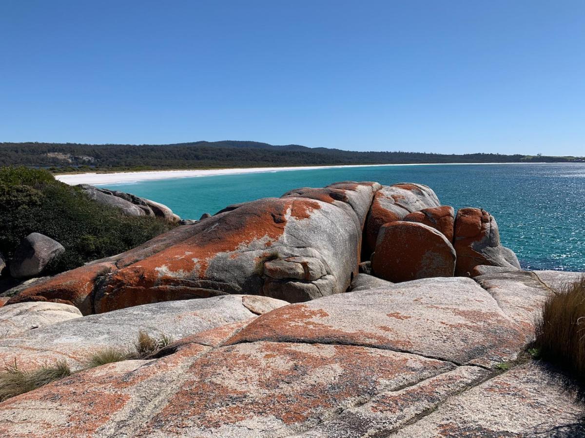 Bay Of Fires Great Escape Villa Binalong Bay Eksteriør bilde